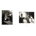 Alphonse Mucha: Photographs