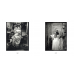 Alphonse Mucha: Photographs